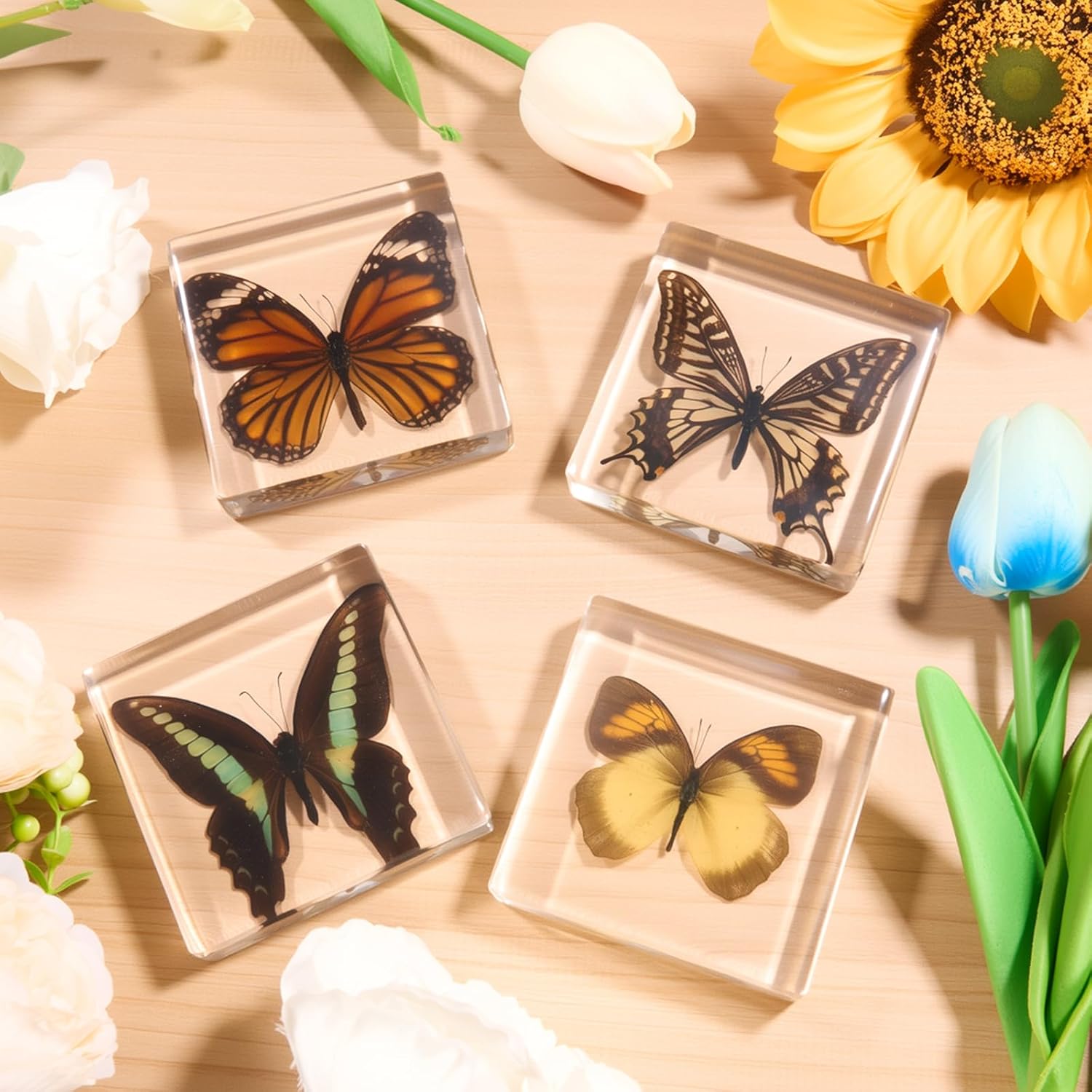 4-Pack Taxidermy Butterfly, Real Butterflies Specimens in Resin - Genuine Resin Butterflies Framed Display for Taxidermy Bugs, Oddities, Biology, Science & Home Decor (3x3x1 inch)
