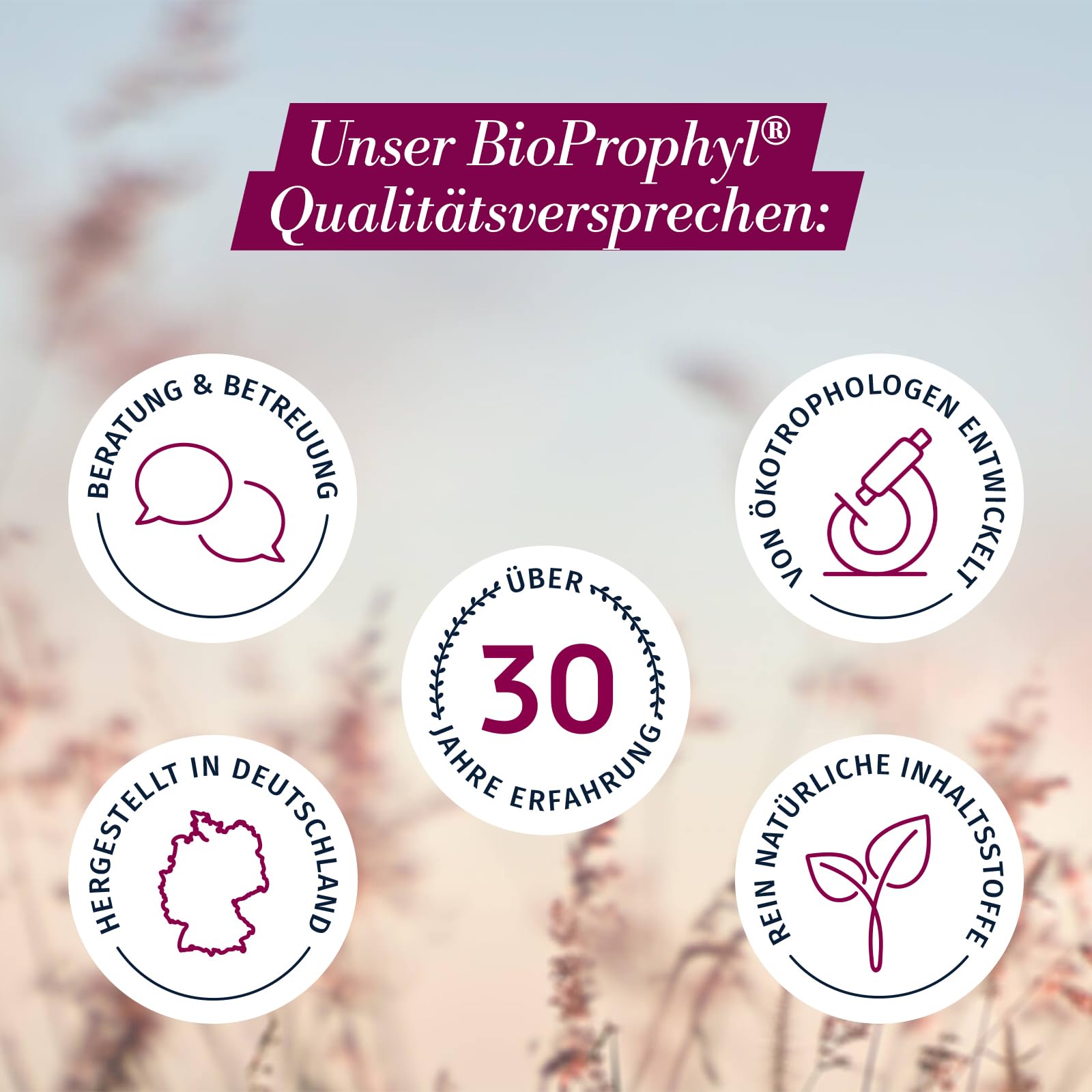 Astaxanthin - 8 mg reines Astaxanthin als Extrakt aus Heamatococcus pluvialis mit Vitamin E zum Schutz der Zellen vor oxidativem Stress - 60 pflanzliche Kapseln für 2 Monate