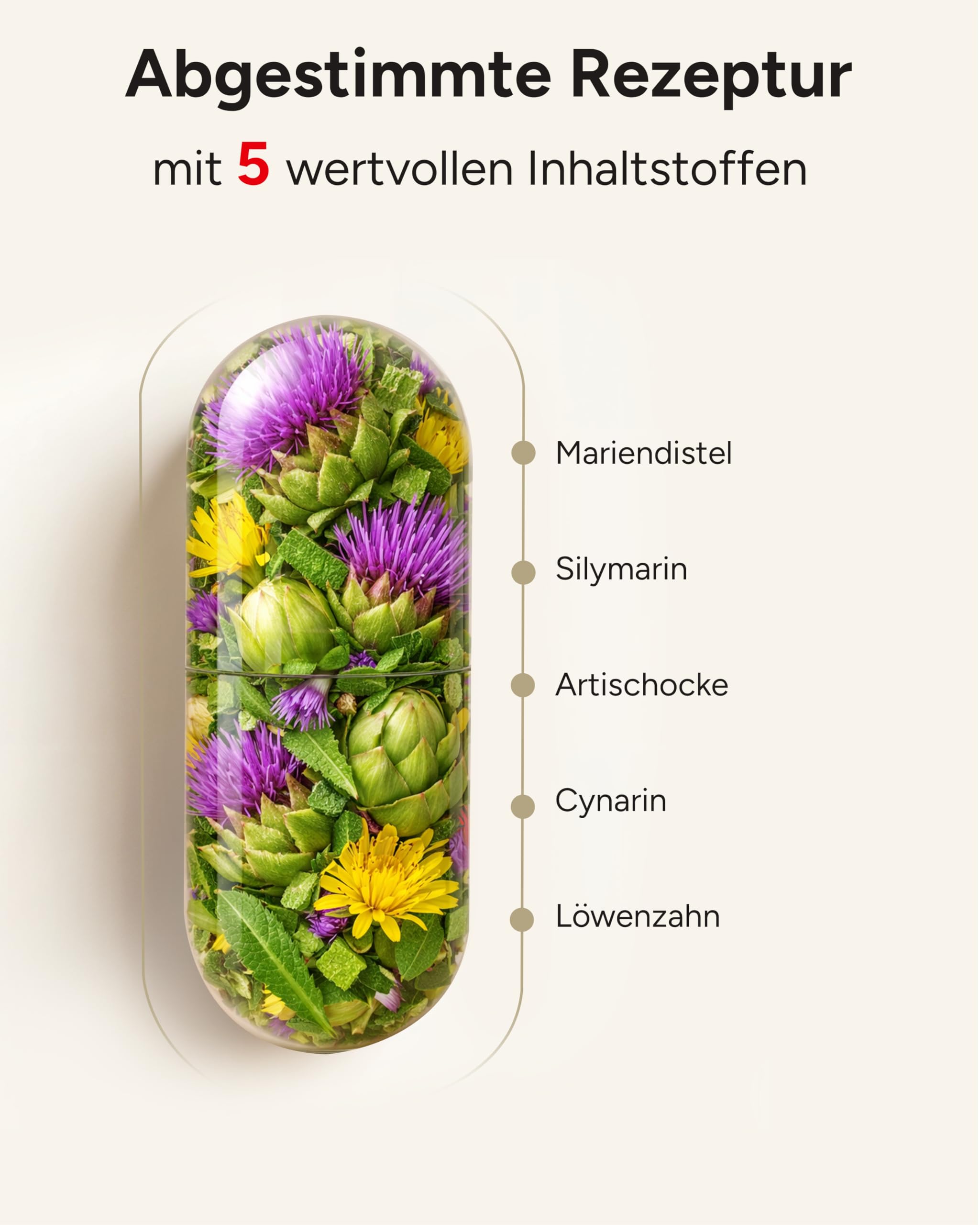 Mariendistel Komplex Hochdosiert – 365 Mariendistel Leber Komplex Kapseln – JAHRESVORRAT mit Artischocken Extrakt & Symarin als Leber Komplex Kapseln – Milk Thistle Capsules – 1 Kapsel/Tag