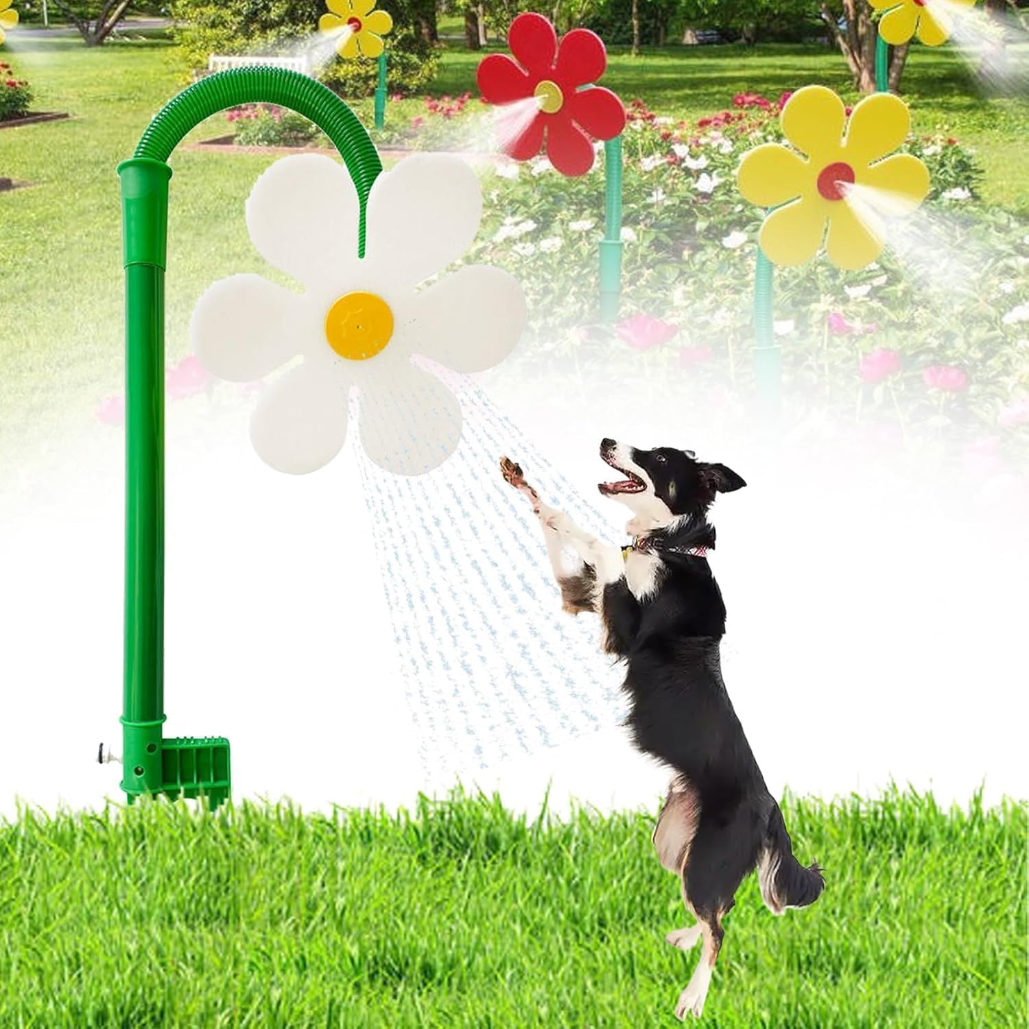 Crazy Daisy Sprinkler,360° Rotating Dancing Flower Water Sprinkler for Lawn & Garden, Fun Irrigation Tool for Yard Watering Kids & Pets Playing, Durable Plastic Base with Vibrant Design (White)