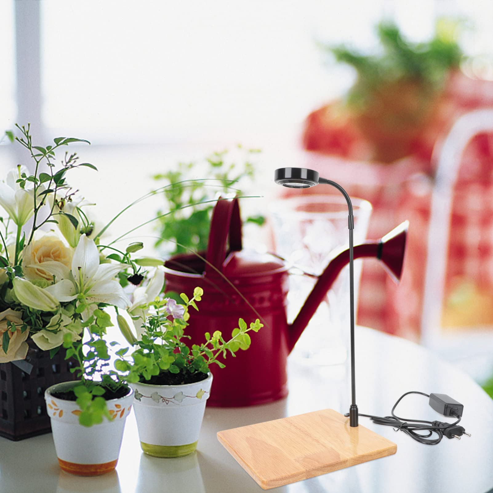 BESPORTBLE Luz Led Para Peceras Base De Madera Lámpara Acuario 3w Ideal Para Plantas Acuáticas