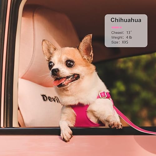 Miniatura 2 de Didog Arnés sin tirones para perros pequeños, suave y ligero juego de arnés y correa para perros pequeños, duradero y ajustable, arnés de cuero XXS