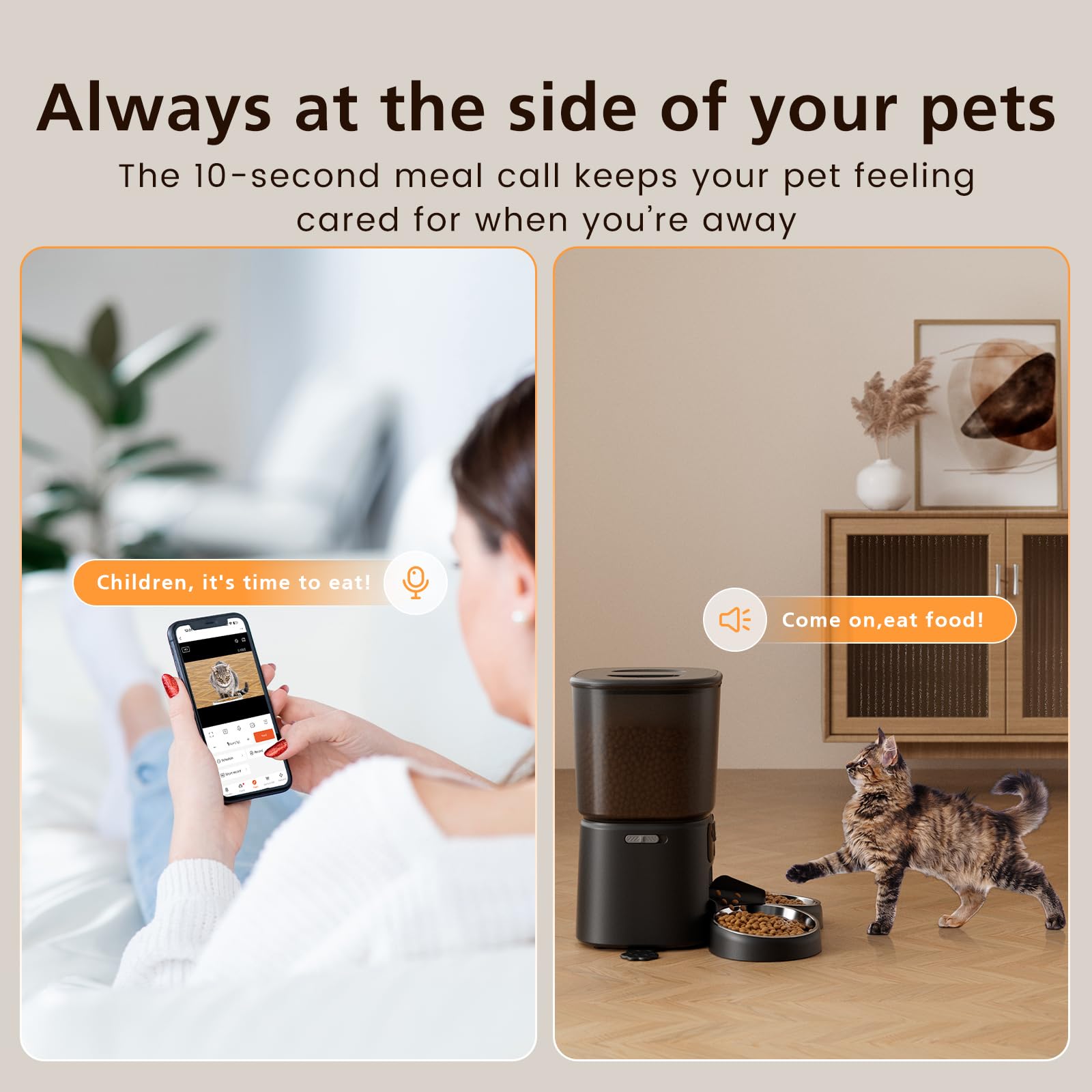 Automatic Cat Feeder with Camera for 2 Cats, 6L WiFi Smart Pet Feeder with APP Control, 1080P HD Video, Voice Call, Motion Detection, Dual Power Supply, for Dogs Cats, Small-Pet, Black - image 6
