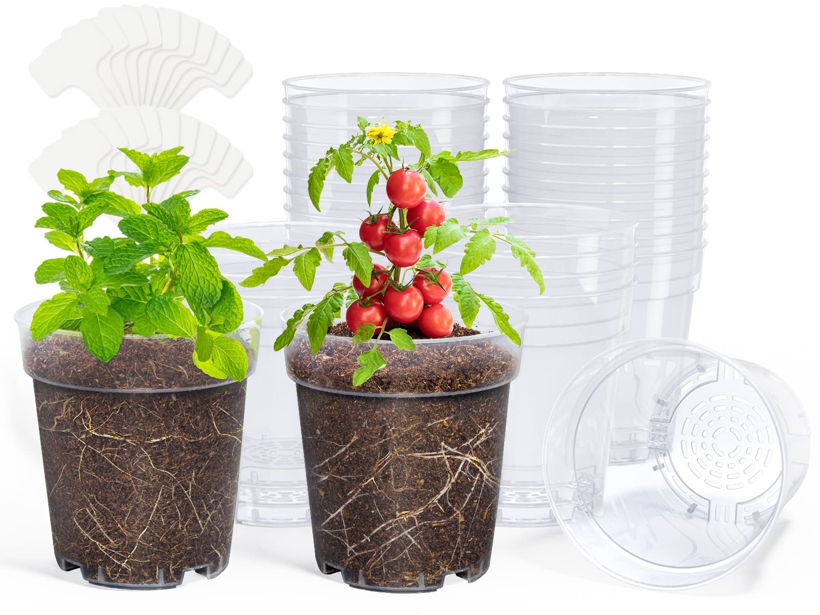 homenote 5 Inch Clear Nursery Pots with Drainage Holes for Plants (30 Pcs)