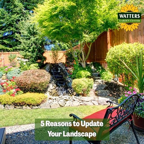 🌳 5 Reasons to Update Your Landscape