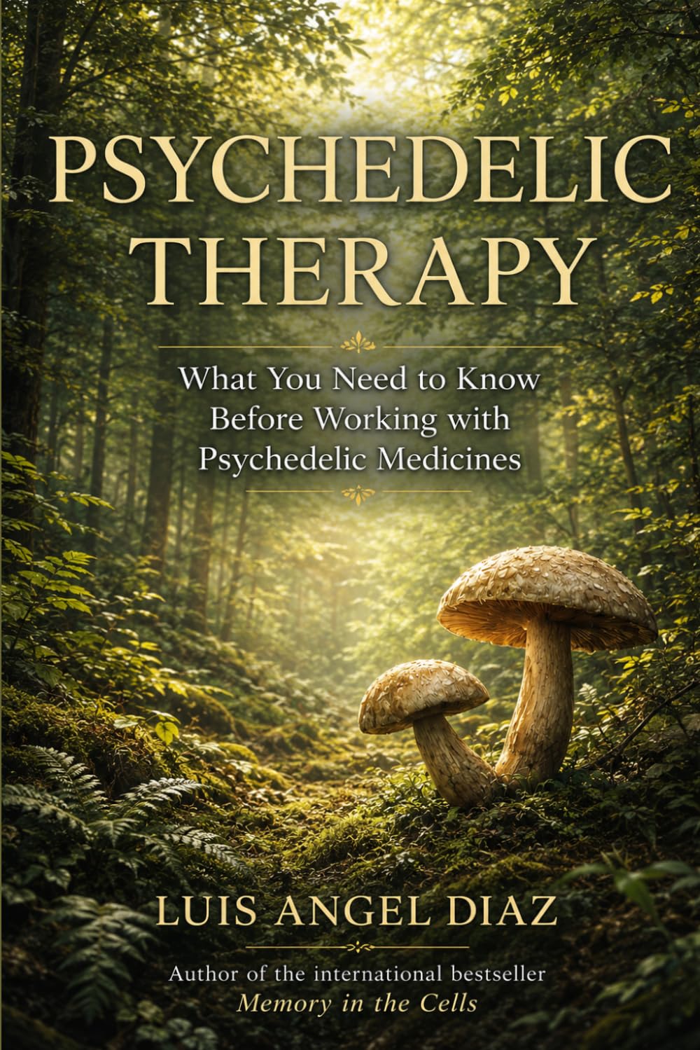 Psychedelic Therapy: What You Need to Know Before Working with Psychedelic Medicines