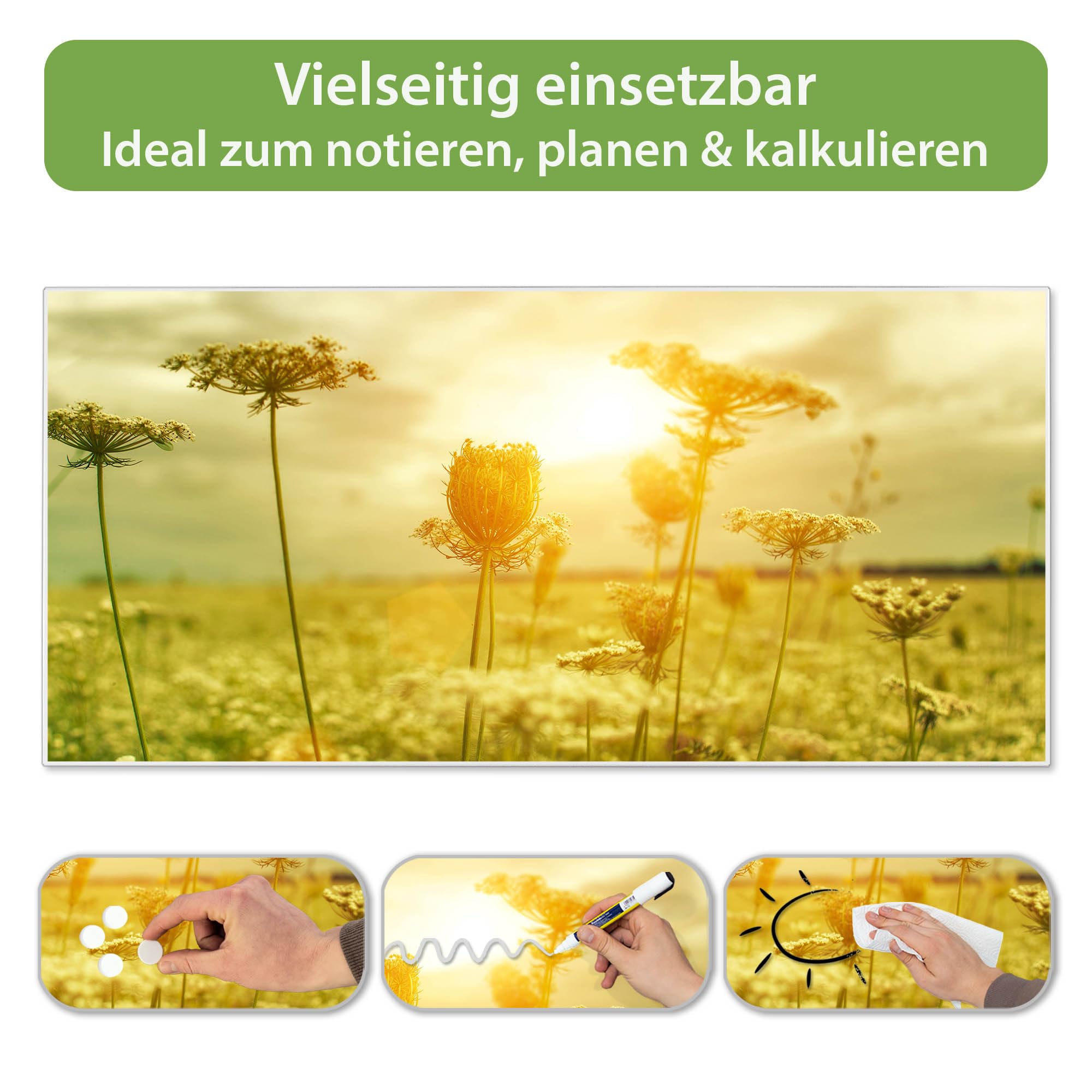 banjado Magnettafel Metall 78 x 37cm - beschreibbare Magnettafel - Metall Pinnwand als Memoboard - Magnetwand Küche, Büro, Kinderzimmer Weiß inkl. 4 Magnete & Montageset - Motiv Dill im Sonnenlicht
