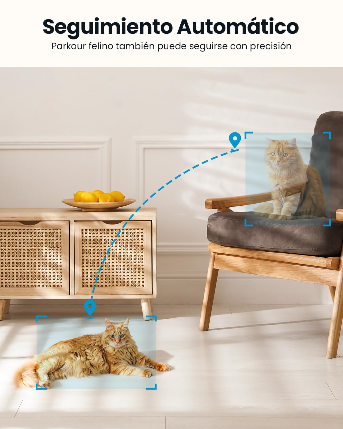 ieGeek 2.4/5GHz Camara Vigilancia WiFi Interior 2K 360°PTZ, Cámara Vigilancia Interior para Bebes/Mascotas/Seguridad Casa, Seguimiento Automático, Voz Bidireccional, Detección Humanoide, Alarma, 2Pack