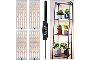 LBW Grow Cabinet for Indoor Plants