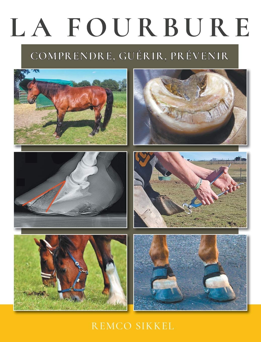 La fourbure: comprendre, guérir, prévenir (French Edition)