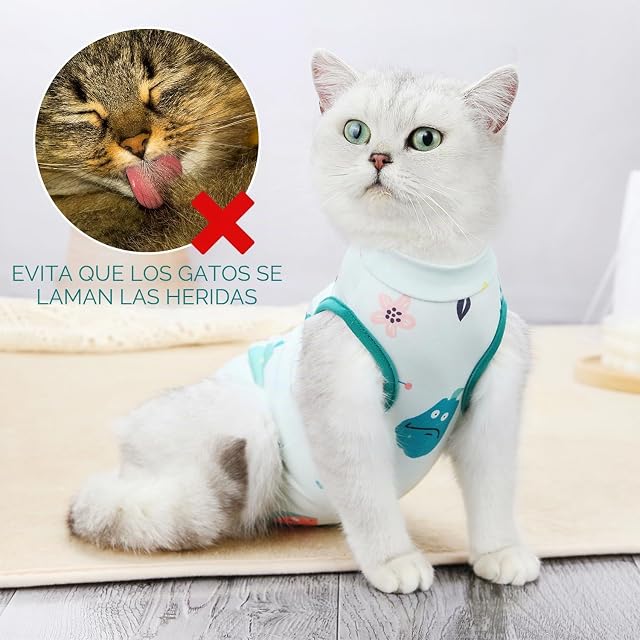 Foto 4 de 6 de Traje de convalecencia para gatos, cuerpo después de cirugía
