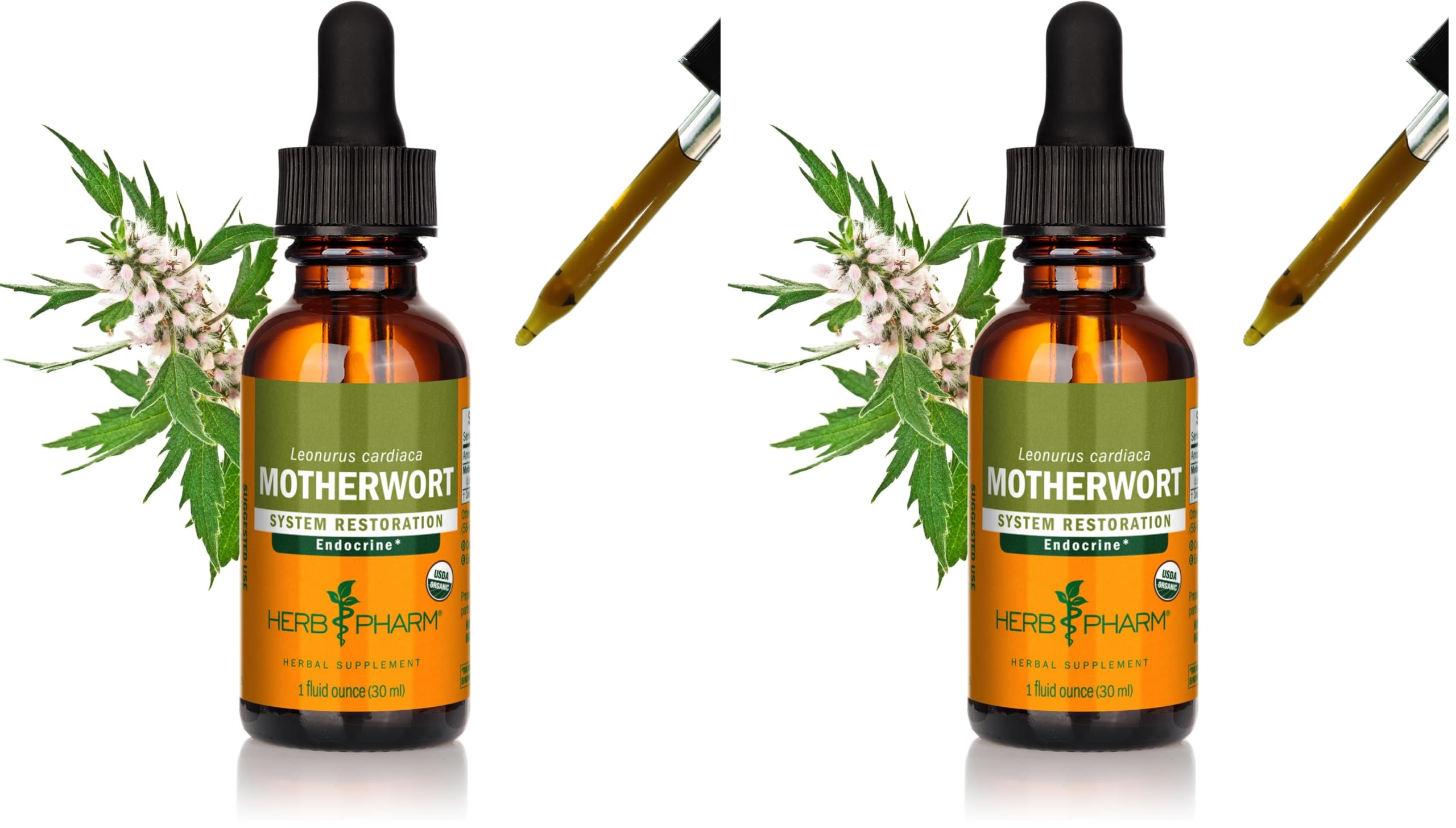 Herb Pharm Certified Organic Motherwort Liquid Extract for Endocrine System Support - 1 Ounce (Pack of 2)