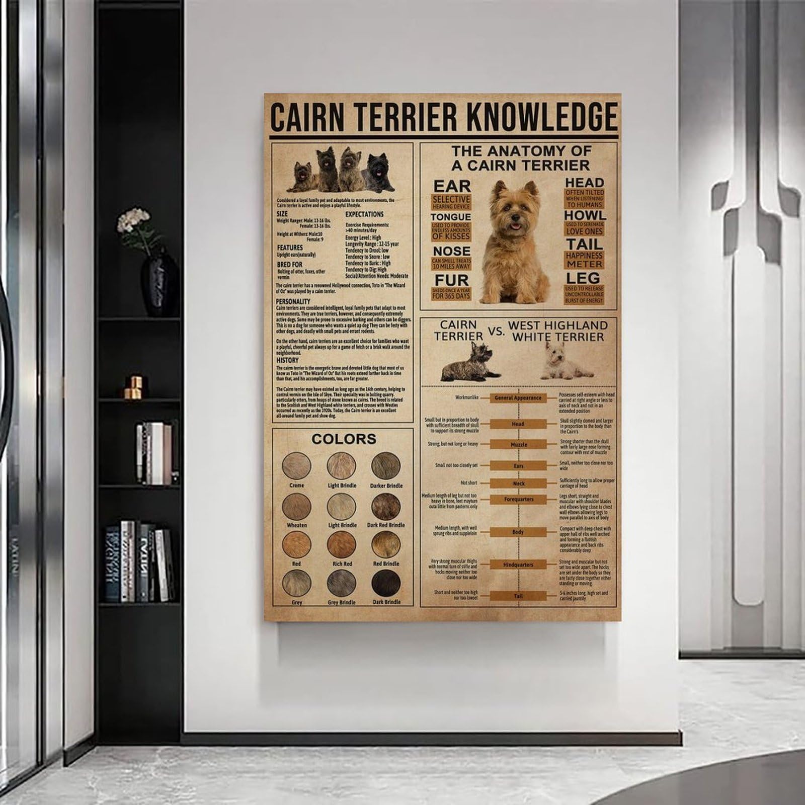 generisch Cairn Terrier Knowledge. Impresiones modernas en lienzo, pinturas decorativas para habitación de niños o niñas, murales para sala de estar y pinturas con motivos navideños 20 x 30 pulgadas