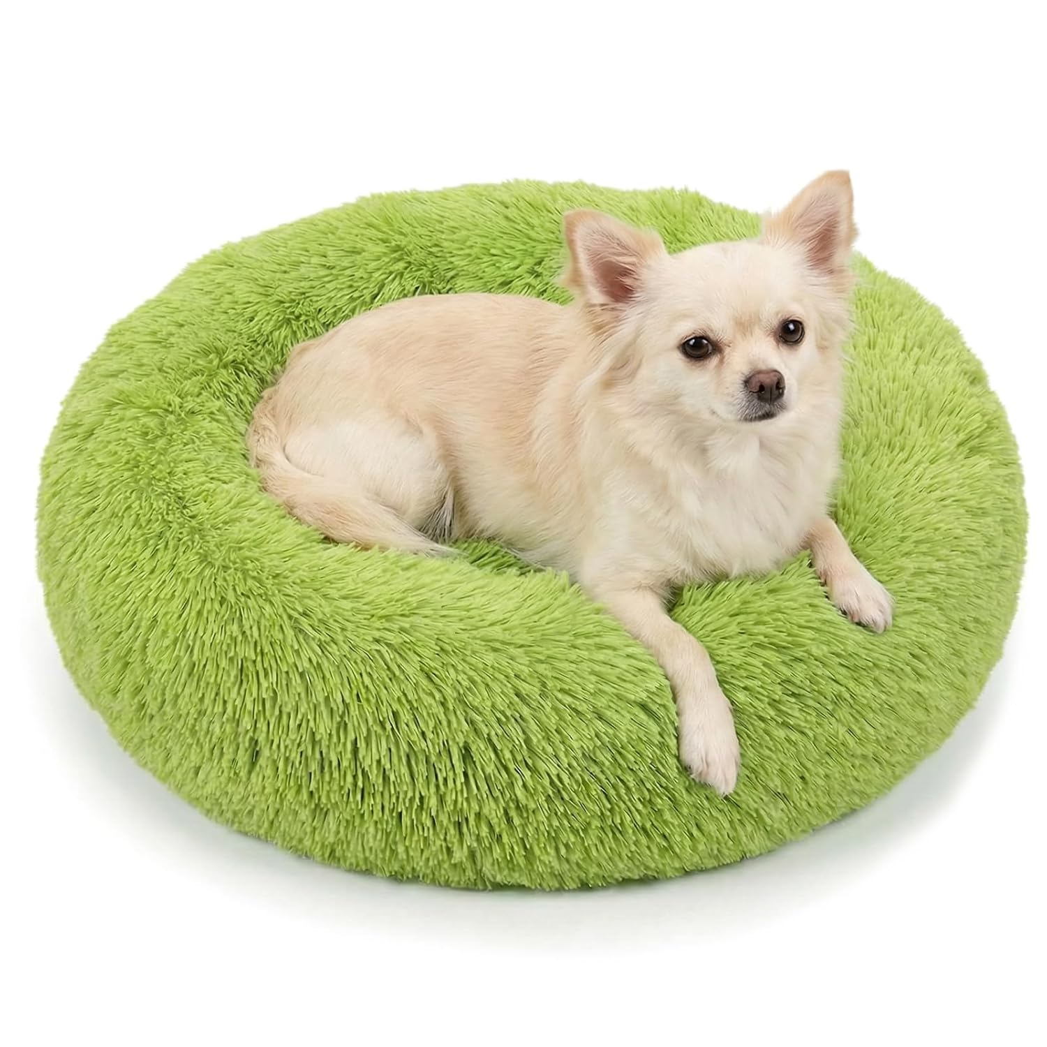 Calming Donut Dogs Beds for Small Dogs Washable,19inch Fluffy Round Puppy Bed for Puppies,Cats & Toy Breeds with Raised Rim,Fits up to 15 lbs Pets,Green