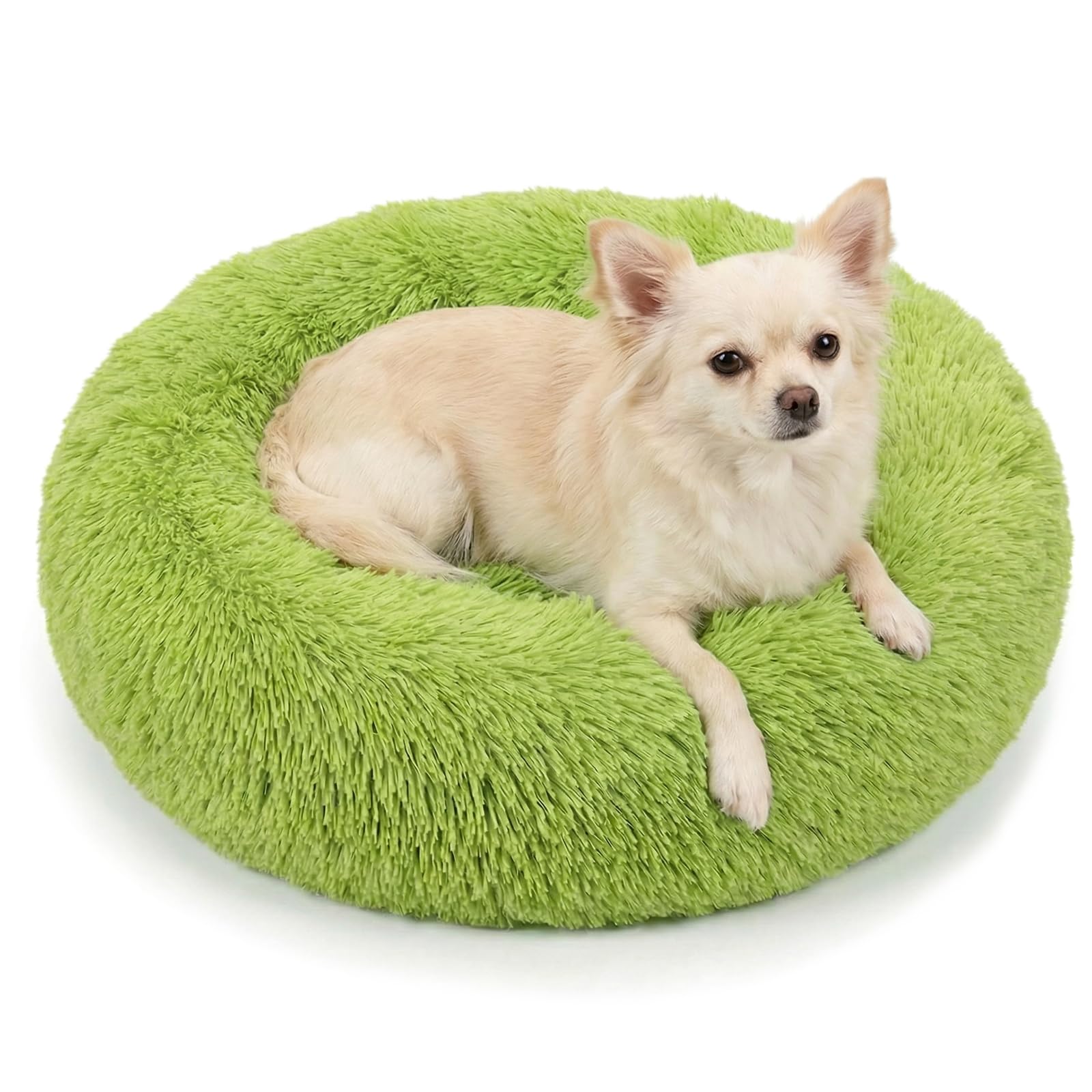 nononfish Small Dog Bed Calming Dogs Bed for Small Dogs Anti-Anxiety Puppy Bed Machine Washable Fluffy Luxury Anti-Slip Waterproof Mute Base Warming Cozy Soft Pet Round Bed — image 1