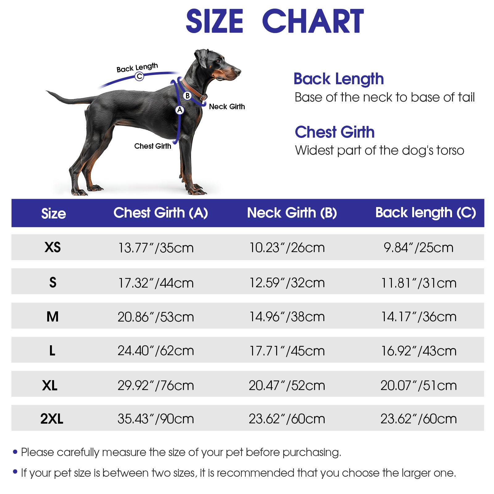 CITÉTOILE Veste Chaude pour Chien – Manteau Hiver Nylon Rembourré, Bandes Réfléchissantes et Fermeture Éclair – Design Classique Imperméable pour Temps Froid Bleu XXL