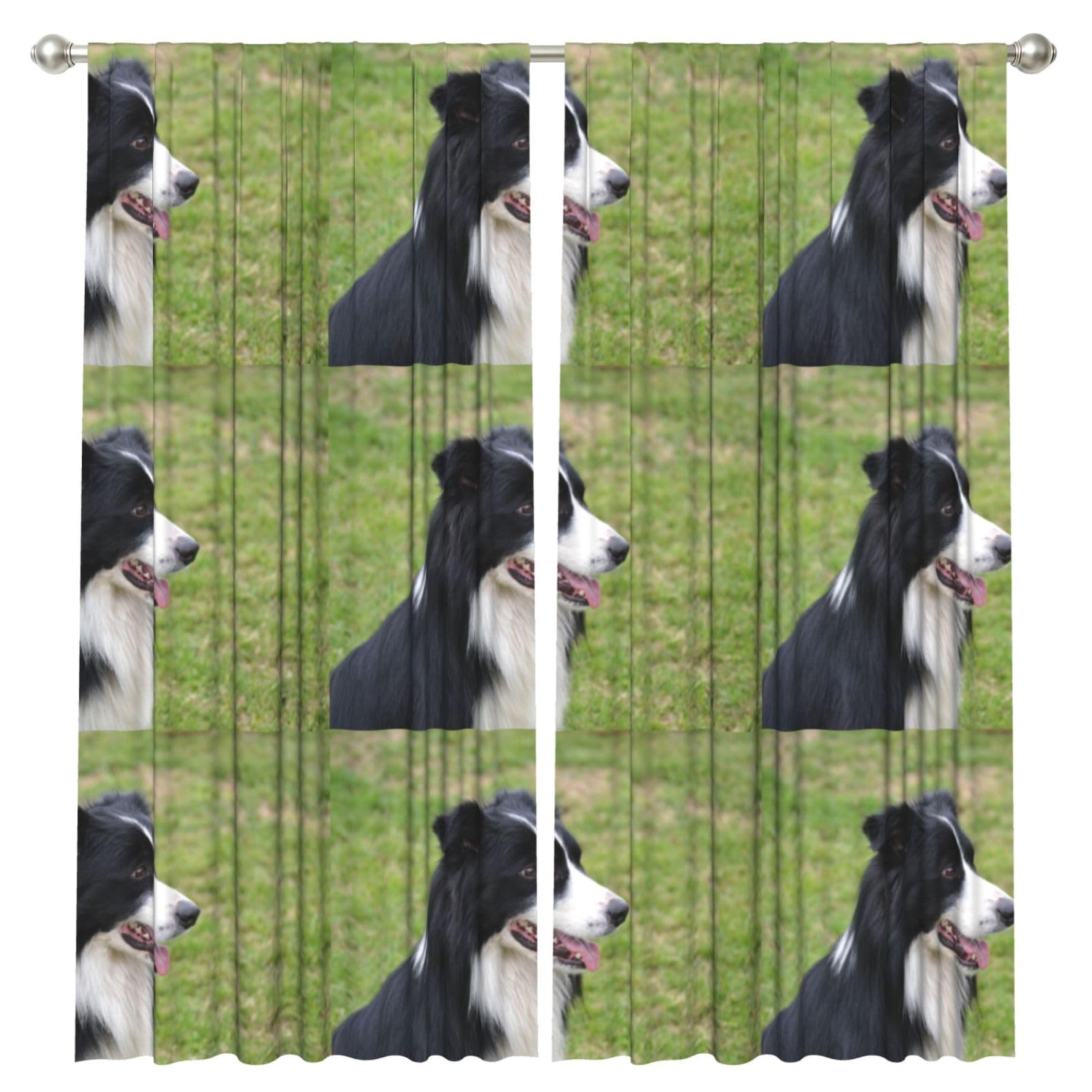 InOmak Border Collie, 2 Panels Window Curtains 52 x 84 Inch Blackout Curtains for Living Room Bedroom