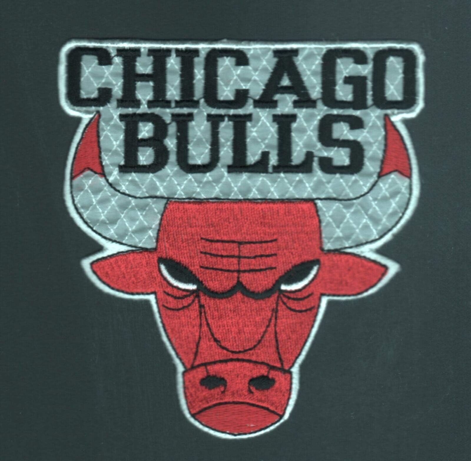 NBA CHICAGO BULLS Logo Emblem Embrodiered Iron On Mini Patch 4 1/2" x 5"