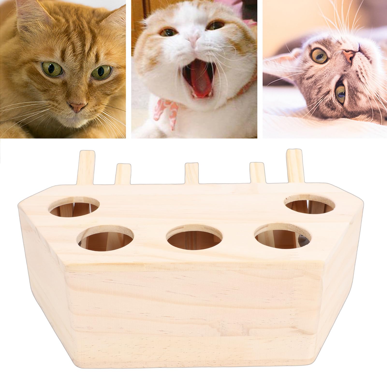 Hölzernes Katzenschlagspielzeug mit 5 Löchern, Reduziert Langeweile, Interaktives Katzen-Puzzle-Box-Spielzeug für Kitty-Übungen