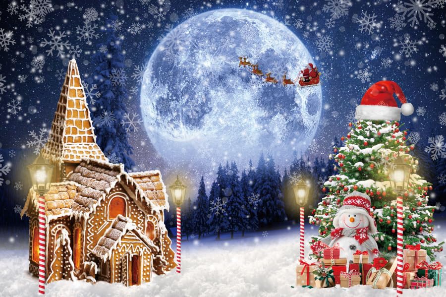 Aoihrraan 1x1,5m Inverno Paese Delle Meraviglie Sfondo Pino Alberi Innevato Boschi Sole Campo Di Neve Paesaggio Fotografia Sfondo Natale Capodanno Famiglia Vacanze Feste Bambini Ritratto Foto Prop