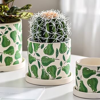 Amazon.co.jp: [ADSNS] テラコッタ 鉢植え 植木鉢 盆栽鉢 陶器 L 北欧