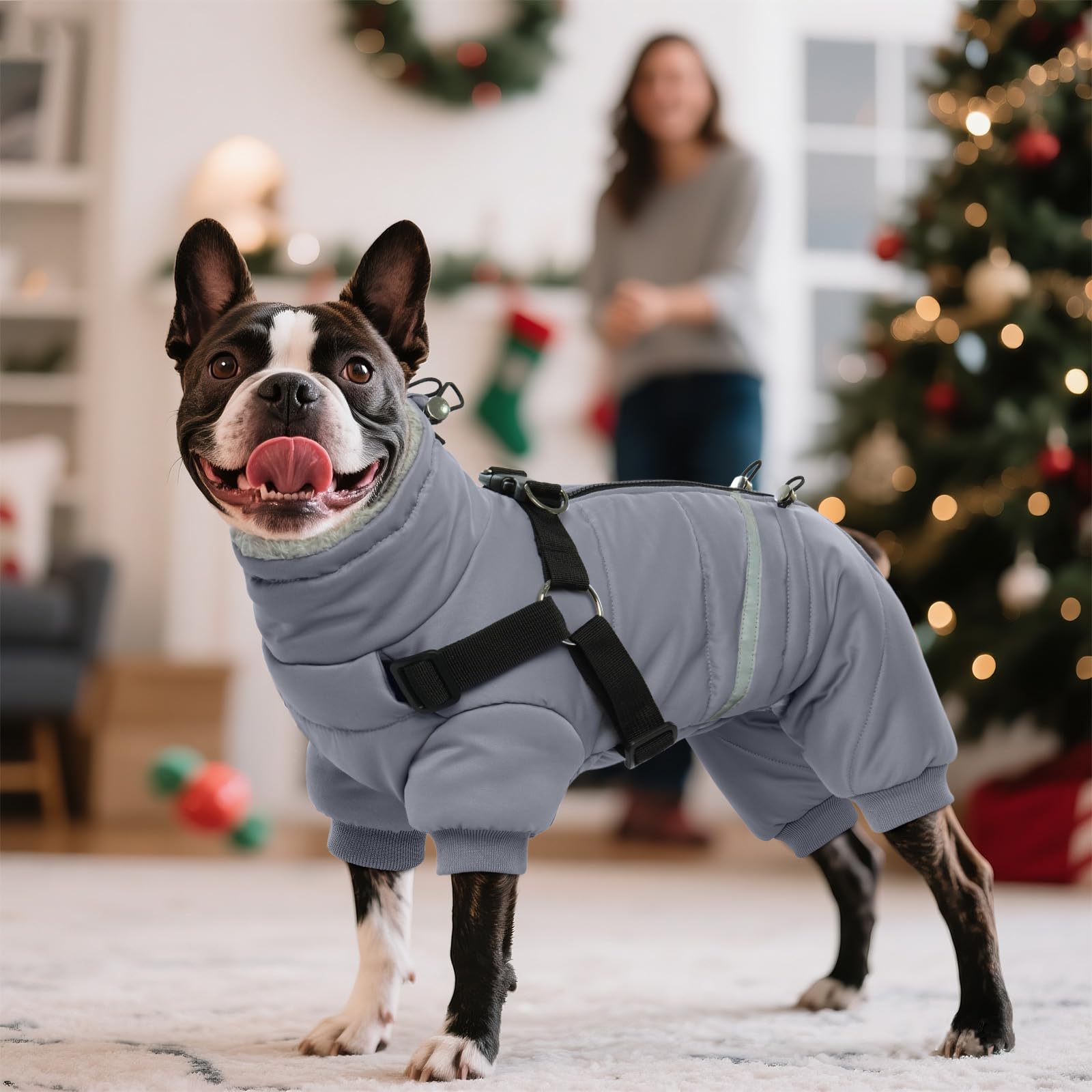 BRKURLEG Cappotto invernale per cani grigio, accogliente giacca invernale per cani, con imbracatura, calda per cani, cappotto natalizio per cani, riflettente per animali domestici, antivento, caldo