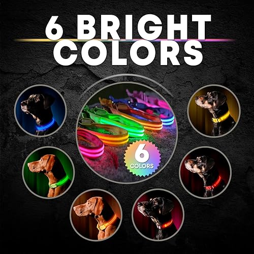 Miniatura 7 de Collar para perros LED Illumiseen, recargable por USB, Amarillo (Sunburst Yellow)