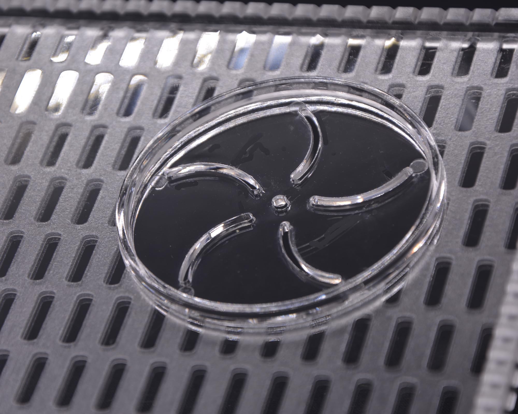 Rampa Per Tartarughe In Acrilico XL - Piattaforma Da Appendere Per Terrario, 35x20x25cm - Foto 5