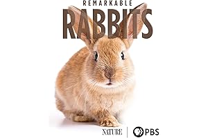 Remarkable Rabbits: Captivating Critters for Curious Minds