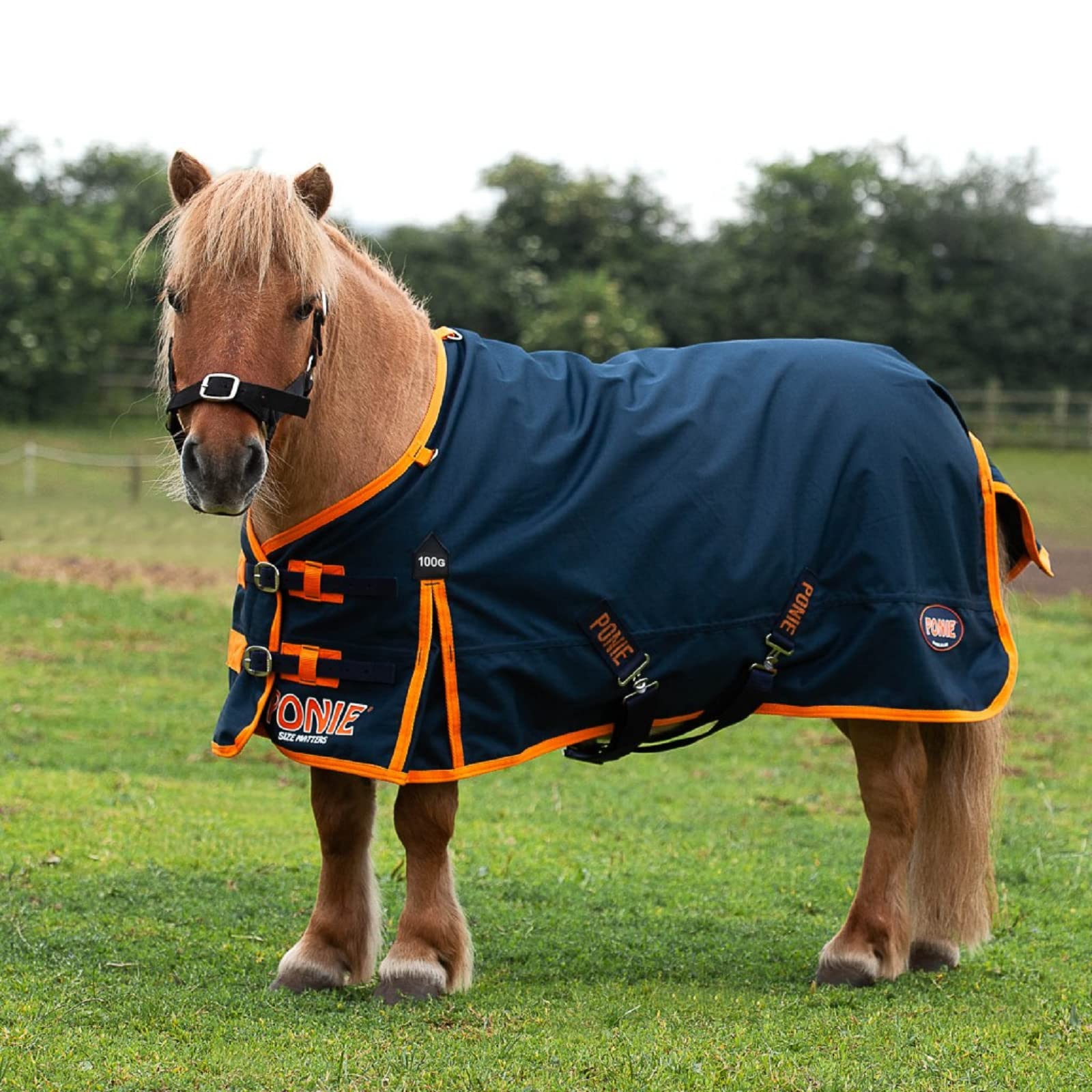 Gallop Trojan Ponie 100G Horse Turnout Rug Standard Neck in Navy/Orange, 600 Denier (4'3", Navy)