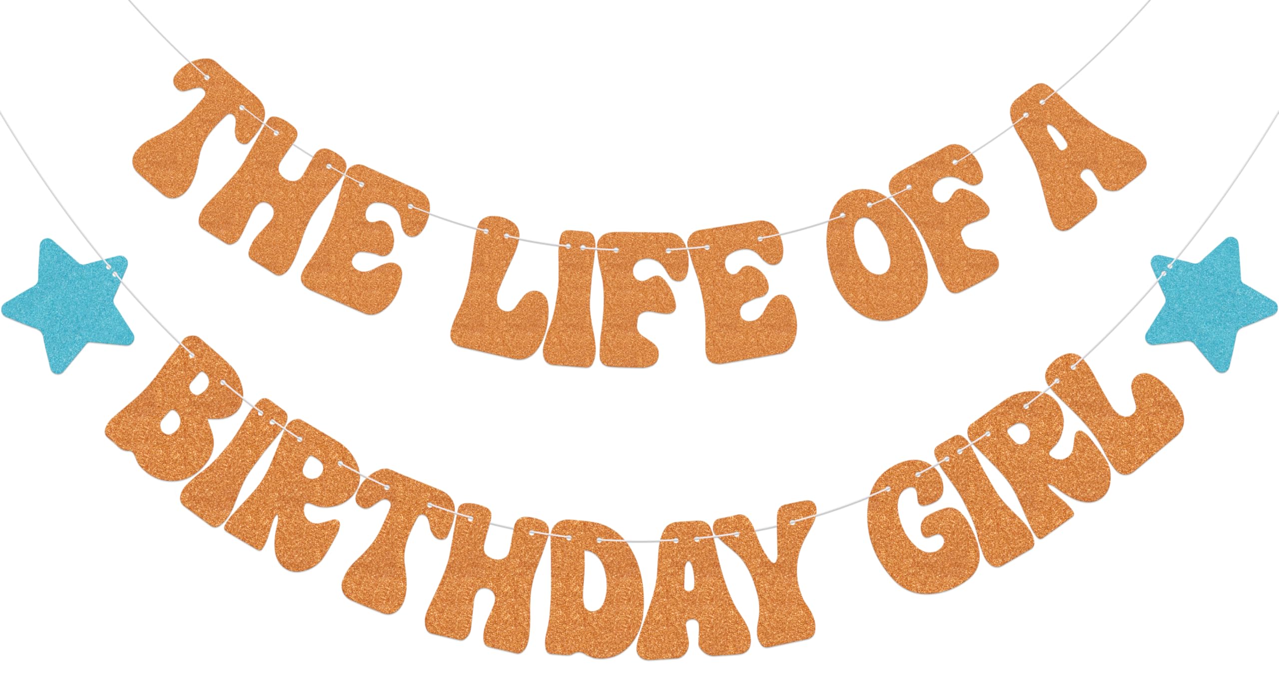 Aumccxz The Life of A Birthday Girl Banner Birthday Girl Decorations Music Lover Bday Party Decorations Orange