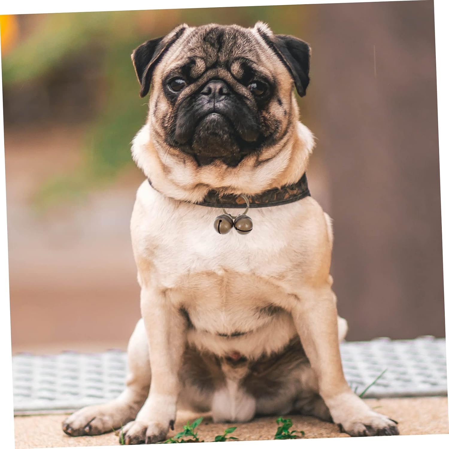 BESPORTBLE 4sets Pet Collar Bell Pendants Copper Bells for Cats and Dogs Loud Sound for Training and Vintage Keychain Design for and Gifting
