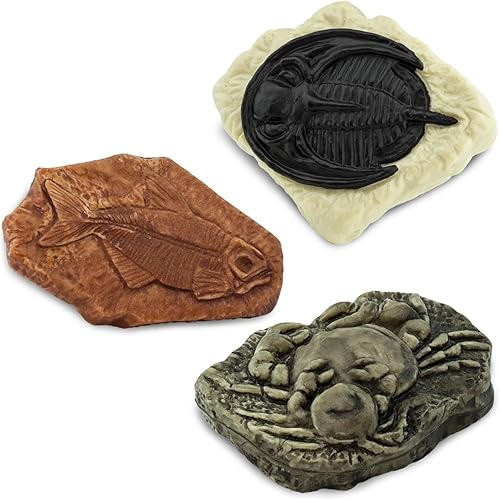 Miniatura 5 de Safari Ltd. Ancient Fossils TOOB - Figurillas huella de dinosaurio, cangrejo gigante, amonita, garra de raptor, diente T-Rex, esqueleto de rana,