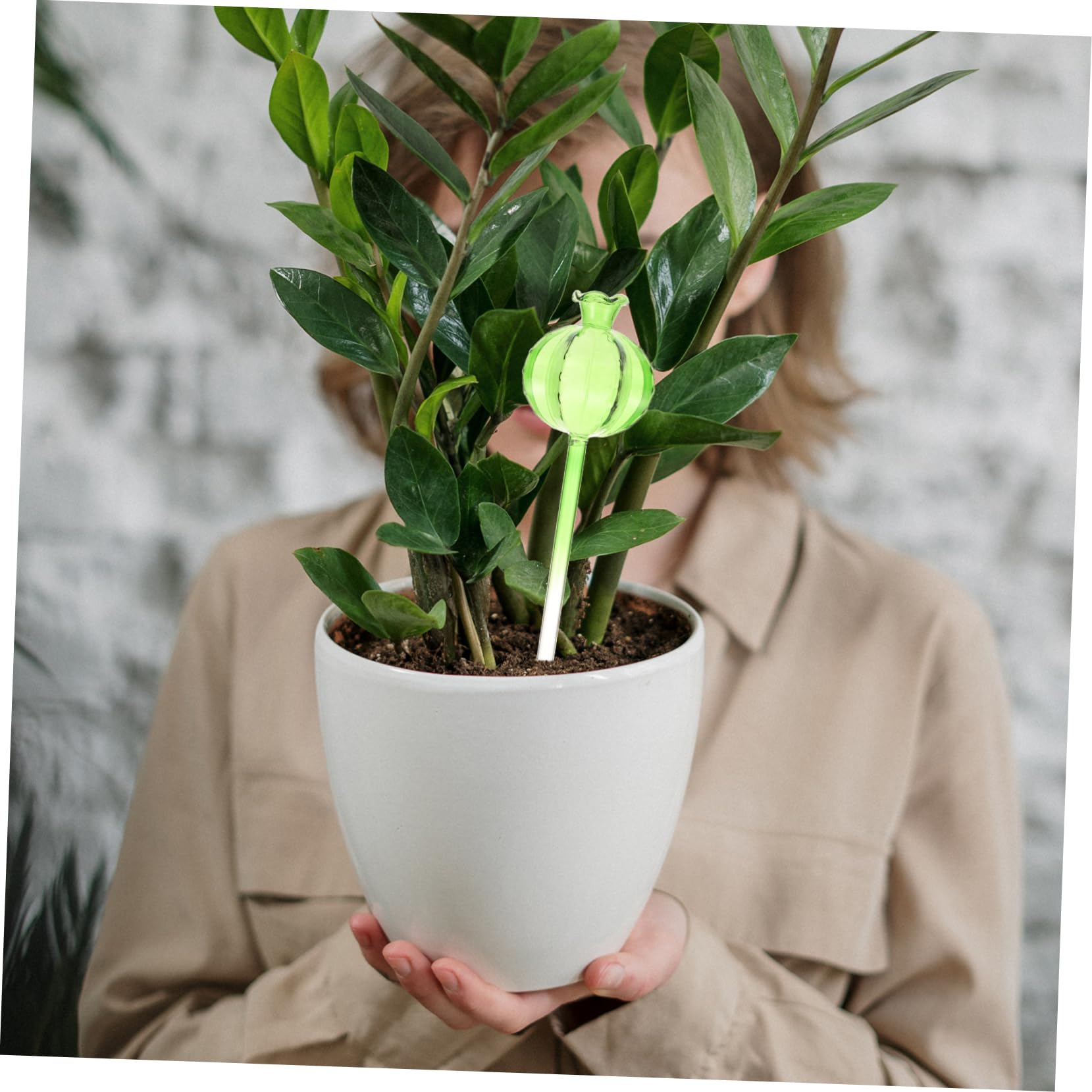 Globes D’arrosage pour Plantes 4 Pièces en Verre, Arrosage Automatique