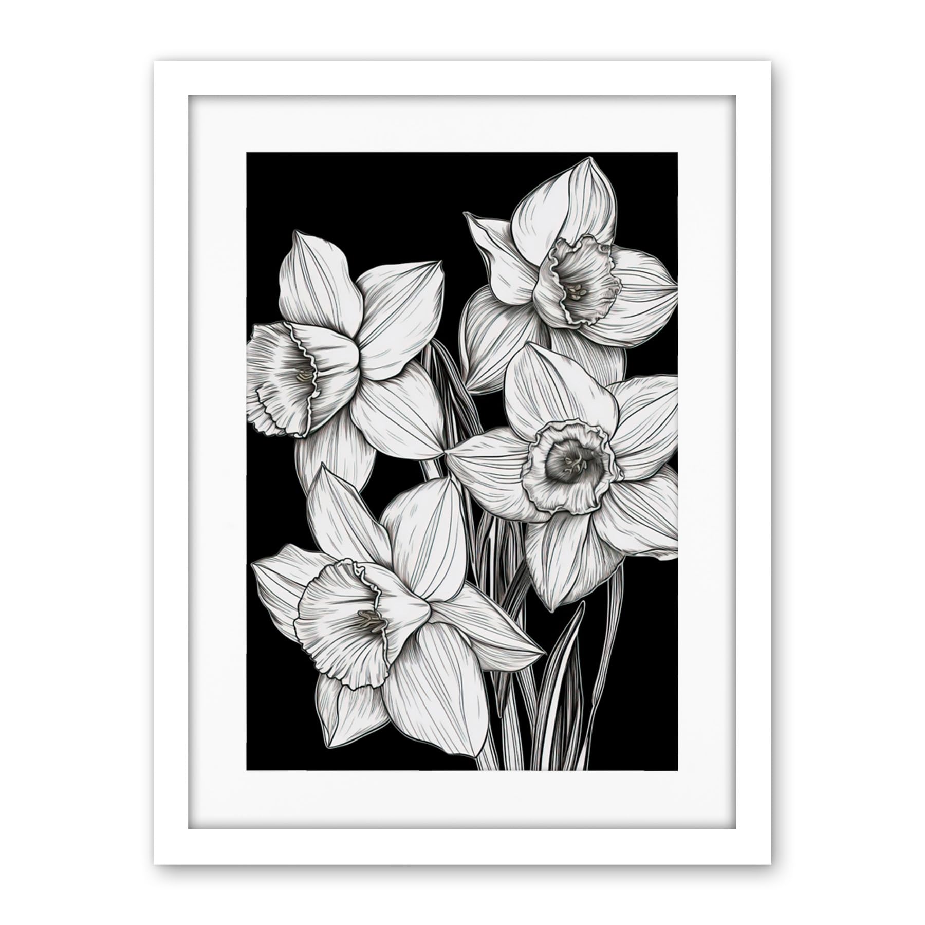 Artery8 Daffodil Wildflower Plant Blooms Black and White Artwork Framed Wall Art Print 18X24 Inch