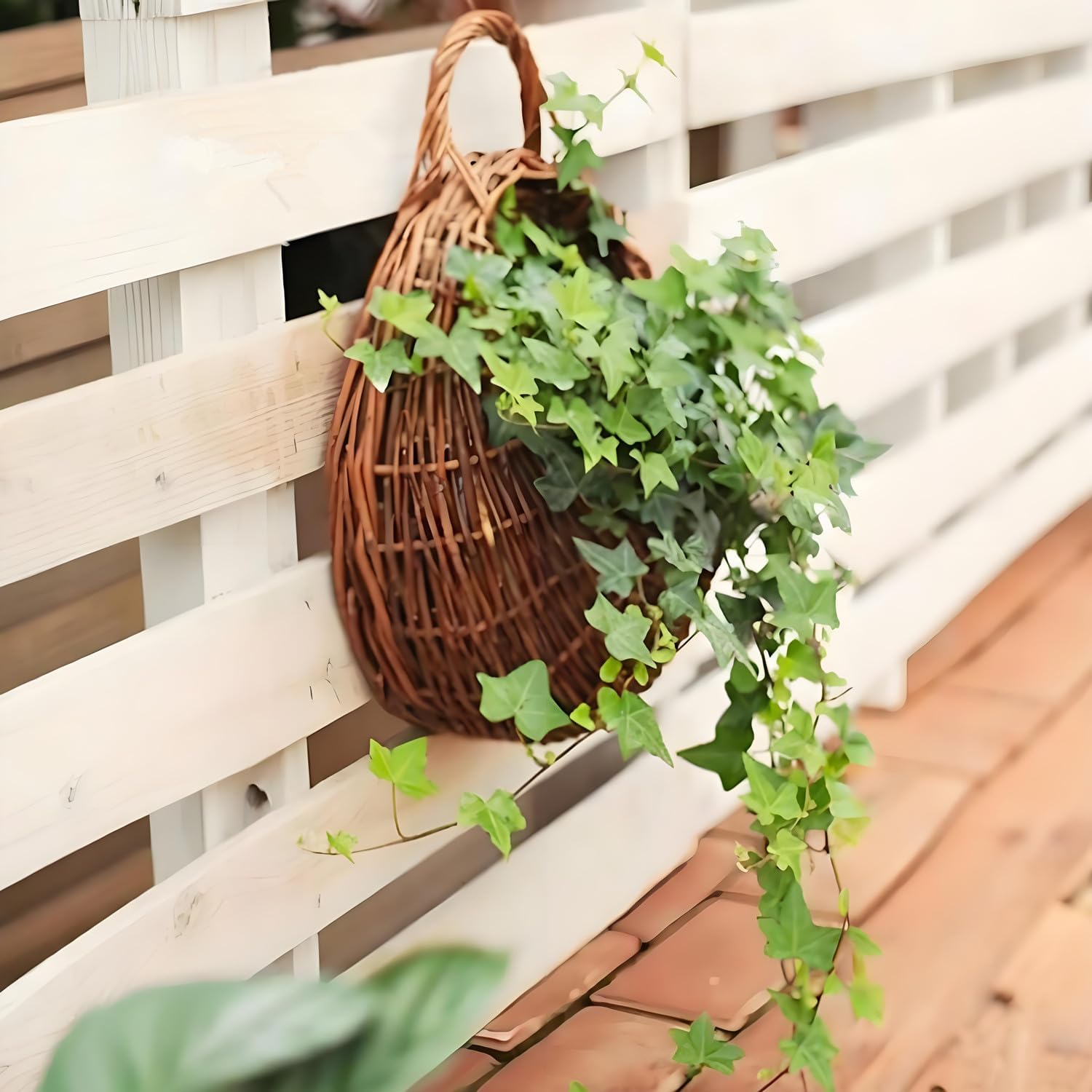 Wall Hanging Flower Basket, Handmade Wicker Hanging Basket for Plant Wall Mount Rattan Chlorophytum Comosum Hanging Basket for Front Door, Home, Garden. (M)