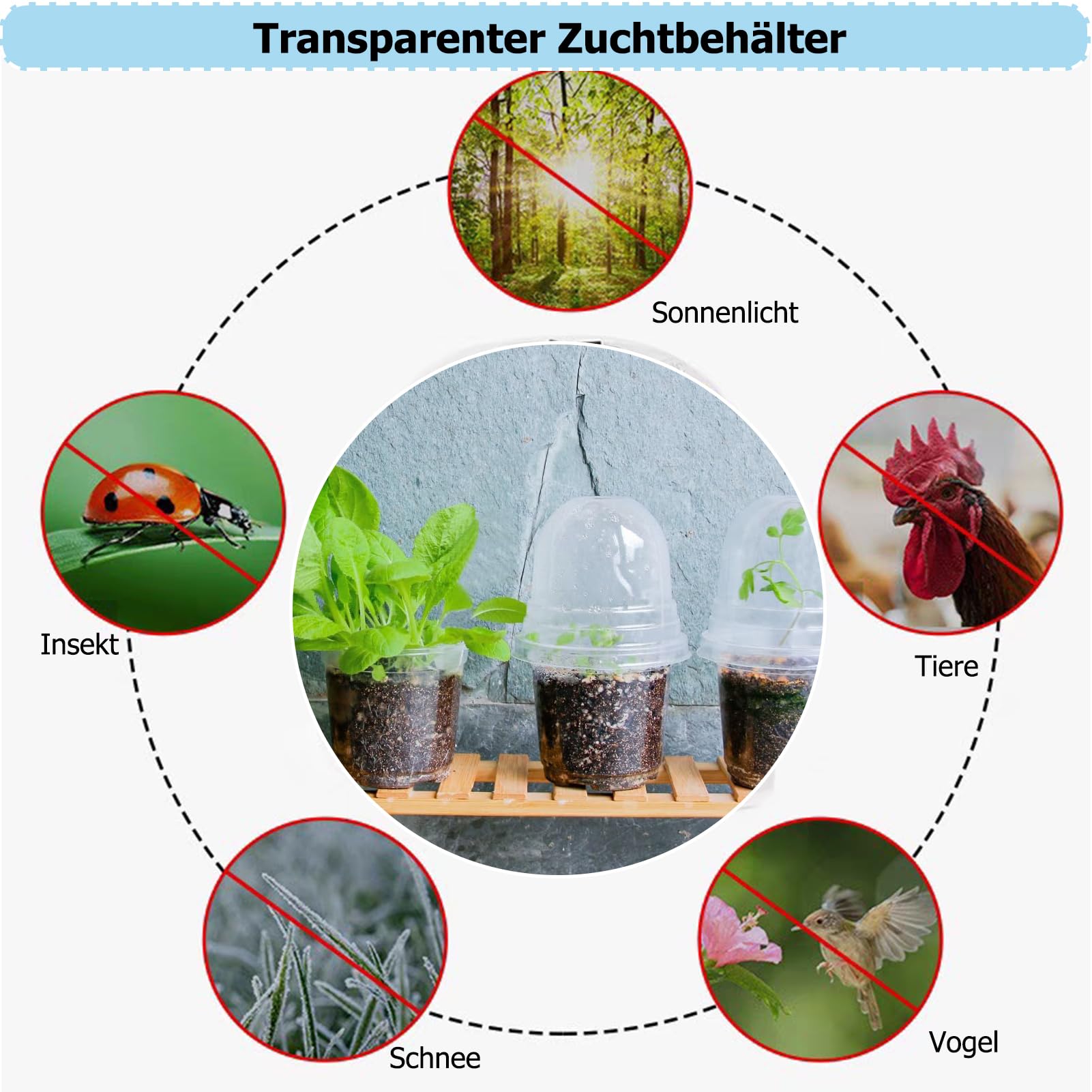 fengxuanwl 30 stuks kweekpotten, transparante plantenpotten met onderzetter, 7 cm, kunststof vierkante mini-potten, kweek klein voor zaden, vetplanten, zaailingen (wit