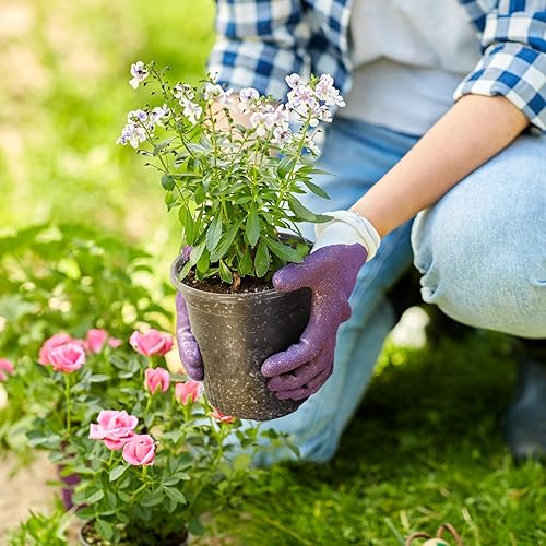 Miniatura 7 de Macetas transparentes reforzadas de 1 galón con orificio de drenaje, 30 paquetes, macetas transparentes de 6.7 pulgadas para plántulas, plantas de