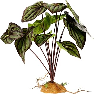 CIYODO Decoração De Répteis Planta De Casa Plantas De Interior Goblincore Decoração De Quarto Plantas Terrário Interno Planta Simulada Plantas Falsas Para Répteis Adorno De Planta