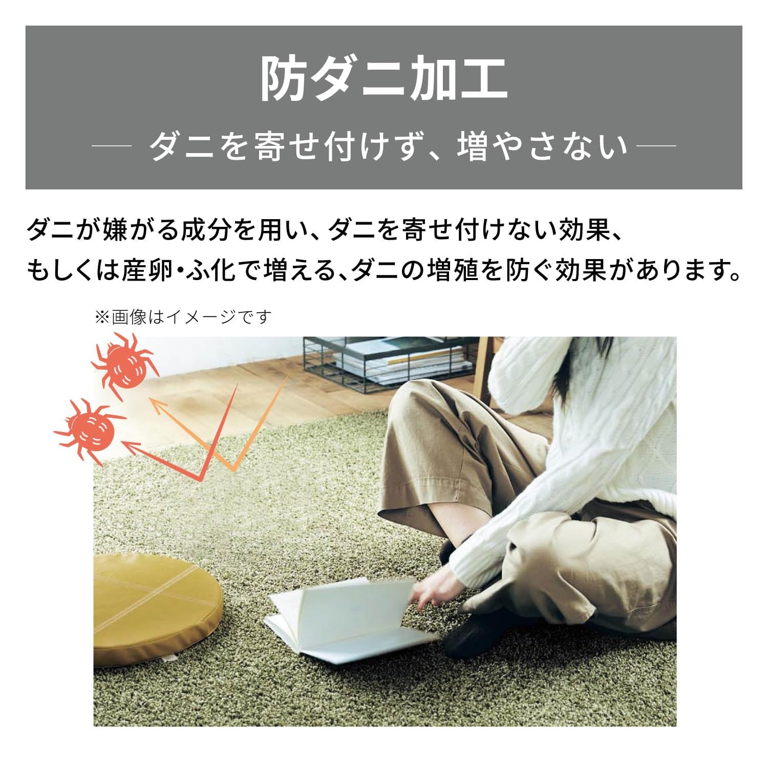 Amazon｜[ベルメゾン] ディズニー ラグ 防ダニ 洗える ラグ
