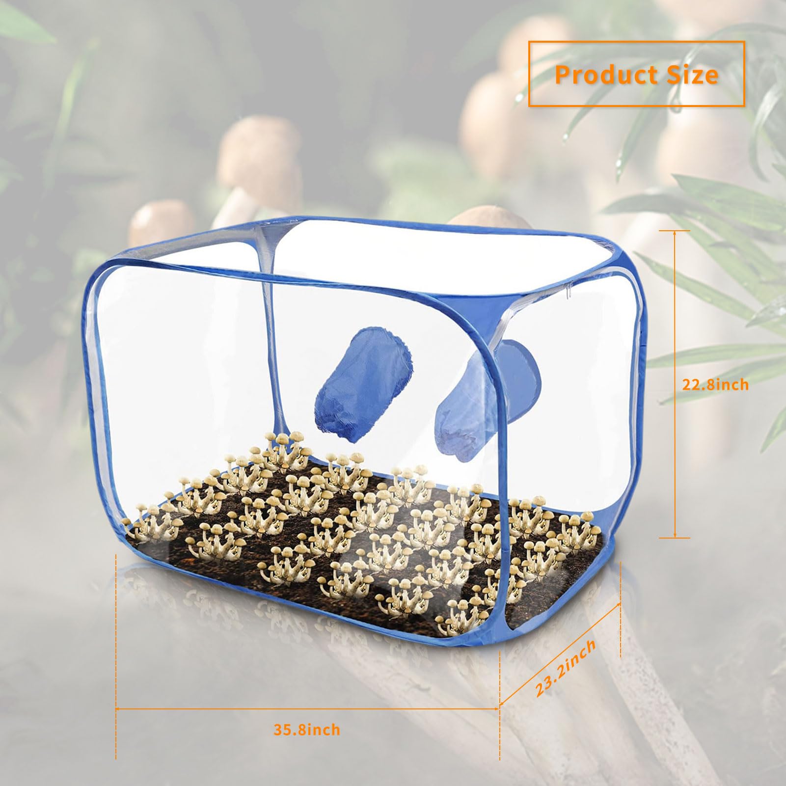 Kit Monotub De Culture De Champignons à La Maison | Boîte Avec Aérations, Bouchons Et Coton Filtrant