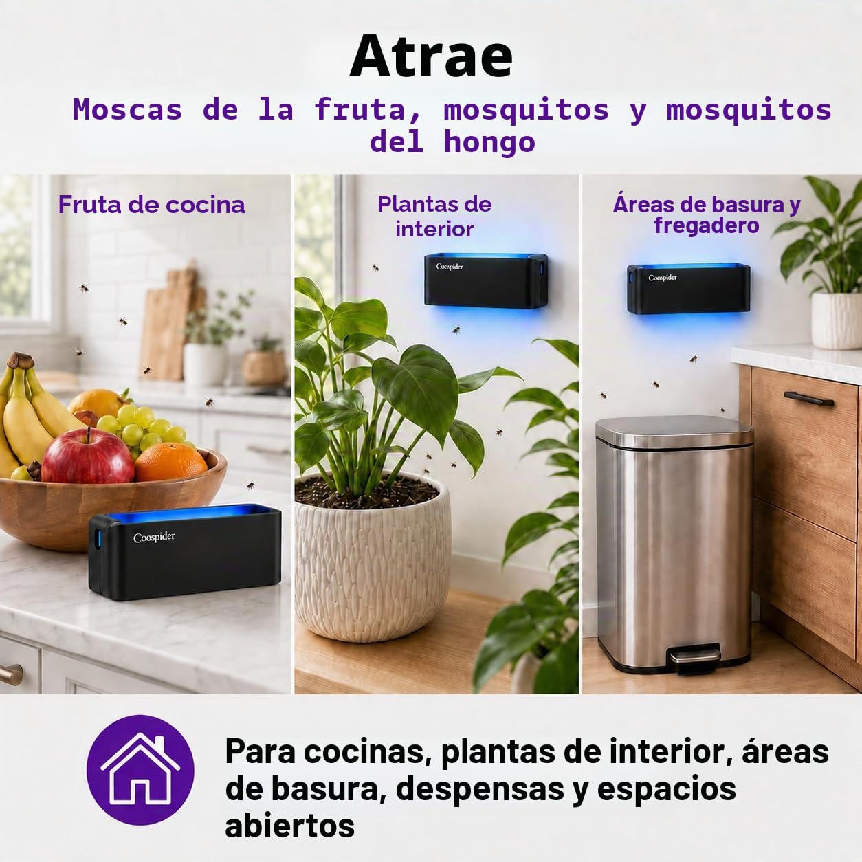 Paquete de 2 trampas de luz UV para moscas de interior para el hogar, trampas para mosquitos para casa, aplique de pared, atrapasueños para cocina, casa y restaurante, moscas de la fruta, garaje y