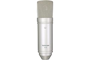Tascam TM-80: The Exceptional Large Diaphragm Condenser Microphone