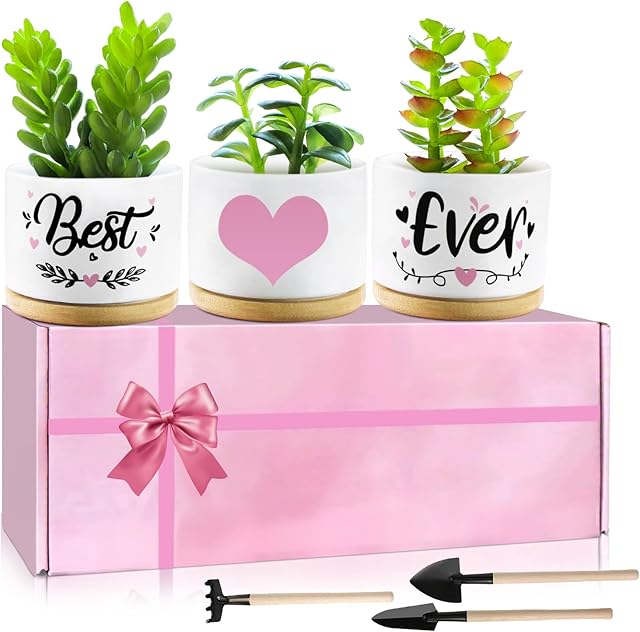Birthday Gifts for Friend Teen Friendship Gifts for Women Boyfriend Female Best Friend Succulent Plant Pots Garden Shovel Set with Gift Box Cute Friend Gifts for Plants, Gift Boxed Planter Gift Set