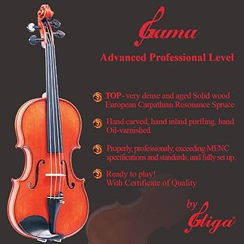 Amazon.com: 4/4 Full Size Advanced 'GAMA' Model, a Gliga Violin