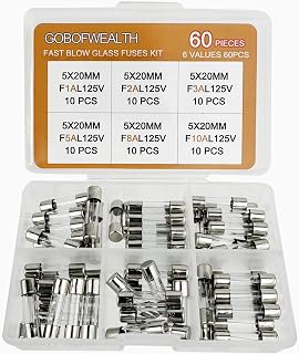 GOBOFWEALTH 125V Fast-Blow Glass Fuse Kit 5x20mm Assortment 1A-10A 6 Models 60PCS Electronics Repair