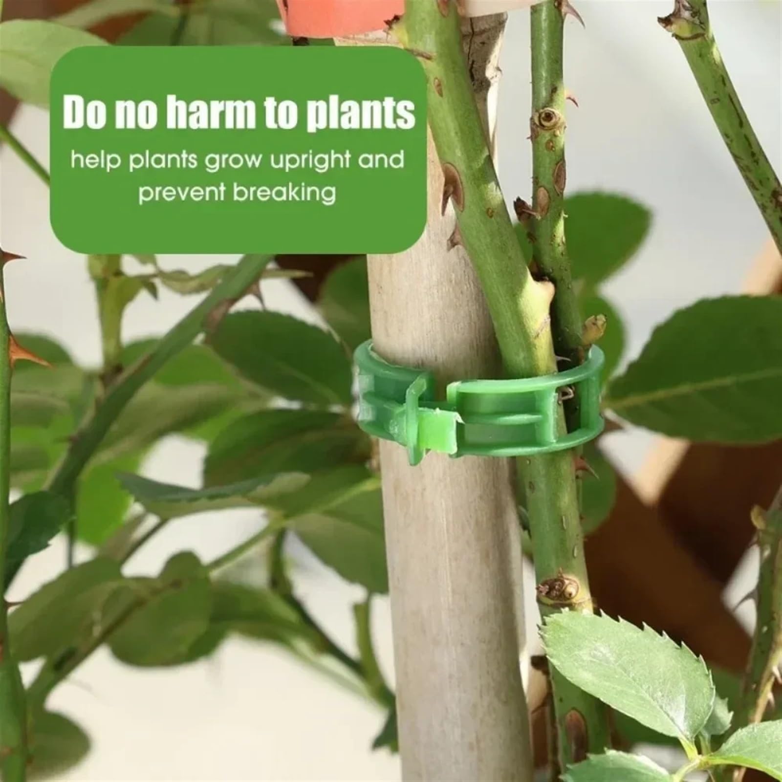 Attaches pour Plantes de Jardin, Clips de Support de Plante en Plastique réutilisables, Multicolores, 10 à 100 pièces, Clip de Vigne de Tomate(Transparent,50PCS)