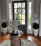 Review Image by KC KC