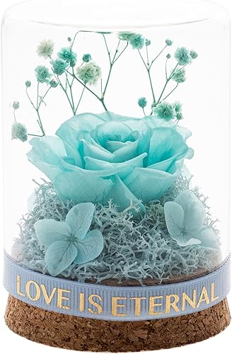 Regalos de rosa real preservada para ella Forever Rose en cúpula de cristal regalos de rosa eterna para mujeres mamá en el día de San Valentín