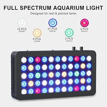 Wills Aquarium Light, 100W Full Spectrum LED Reef Lights, 16x8x2.4 | Coral Saltwater Fish Tank, Blue/White Dual Dimmable Channels, 55 Premium SMD LEDs, Daisy Chain Design, Hanging Kit